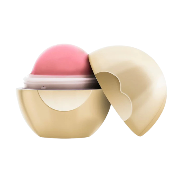 שפתון ורדרד גל גונן