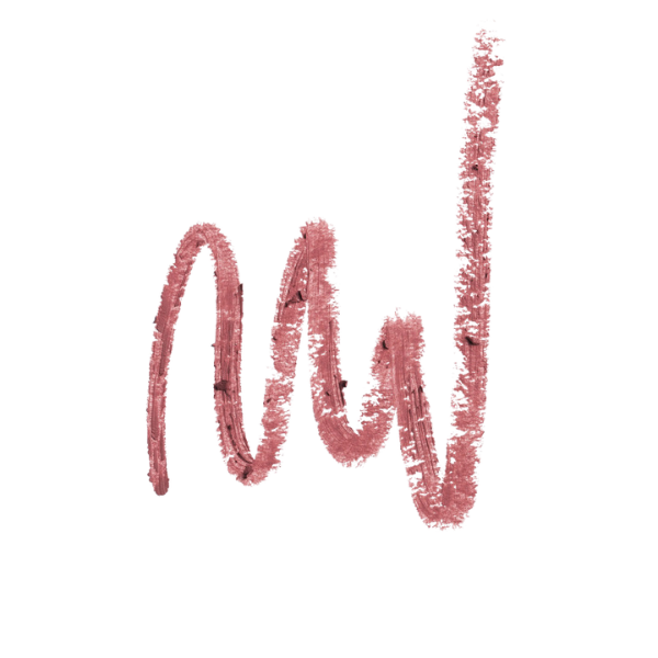 Inglot Playinn Velvet Define Lip Pencil 65