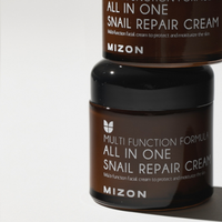 MIZON All In One Snail Repair Cream