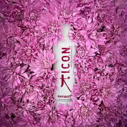 קרם לחות טיפולי לשיקום והזנה המועשר בנוגדי חמצון מסדרת 'אנטיאוקסידנטס' 250 מ"ל - אייקון