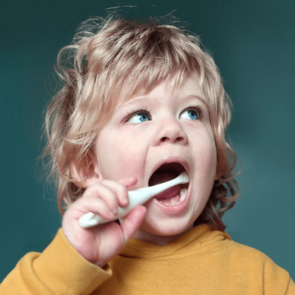 מברשת שיניים אקולוגית לתינוקות בעיצוב קואלה - ג'ק אן ג'יל