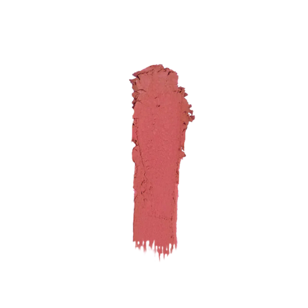 adah lazorgan stick blush 2