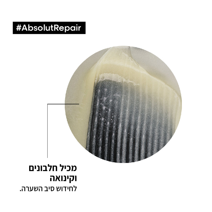 מארז שיקום מקצועי לשיער יבש במהדורה מוגבלת מסדרת 'אבסולוט ריפר' - לוריאל
