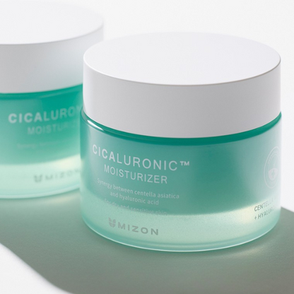 MIZON Cicaluronic Moisturizer For Dry Skin