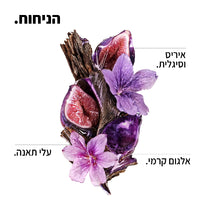 לוריאל קרטין אלפא סליק