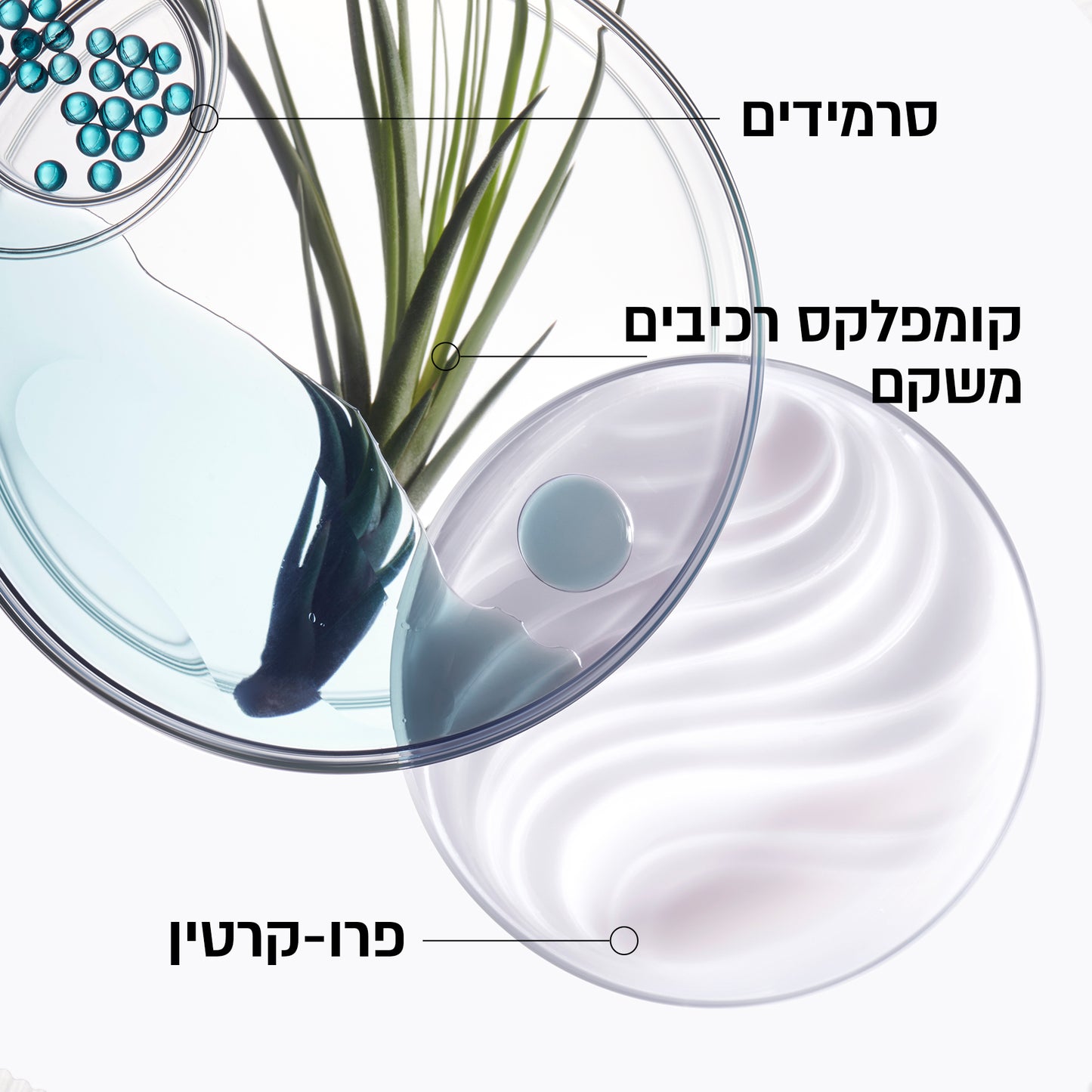 שמפו לשיער פגום 'בן פורס ארכיטקט' מסדרת רסיסטנס 250 מ"ל - קרסטס