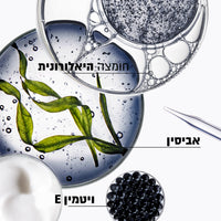 כרונולוג'יסט