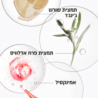 שמפו קרסטס מסדרת ג'נסיס
