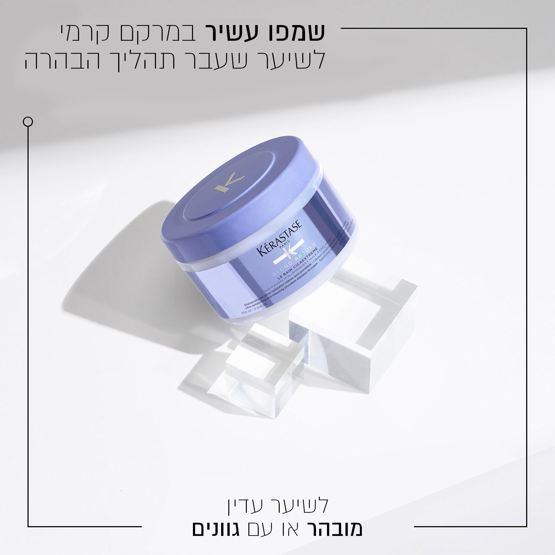 שמפו לשיער בלונד אבסולו קרסטס